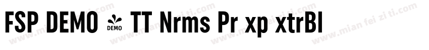 FSP DEMO - TT Nrms Pr xp xtrBld字体转换